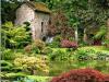 Jardin japonais